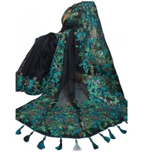 Saree Black Blue